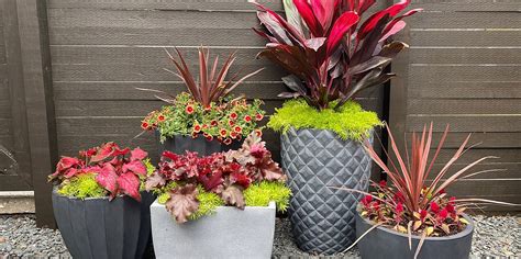 How To Group Container Gardens Together Better Homes And Gardens