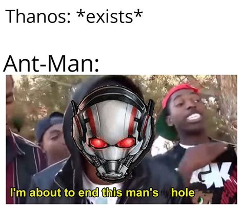 Reddit Ant Man Will Defeat Thanos By Crawling Up His Butt And