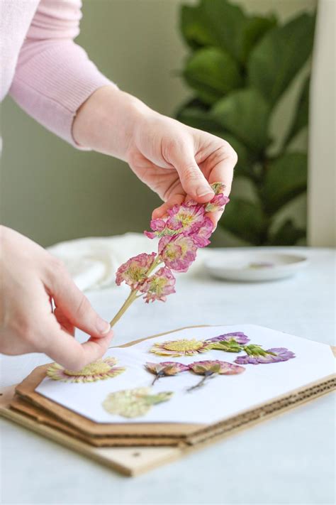 How To Press Flowers Make A Diy Flower Press Pressed Flowers