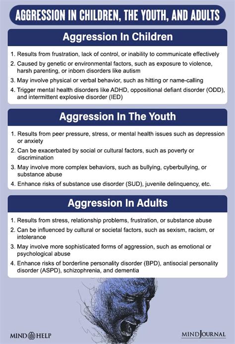 Aggression 10 Signs Causes Types Steps To Control It