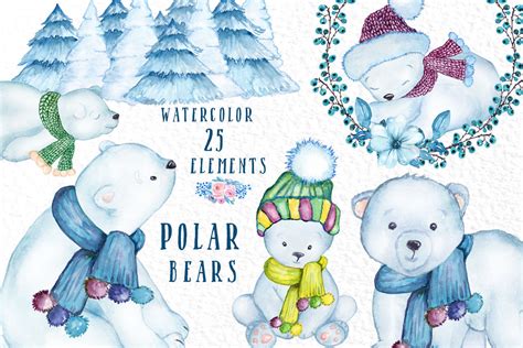 Watercolor Winter Animals Polar Bears Clipart Baby Bears