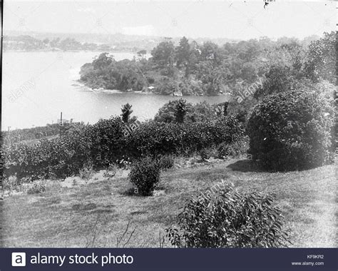 8896 Unidentified Section Of Lane Cove River Stock Photo Alamy
