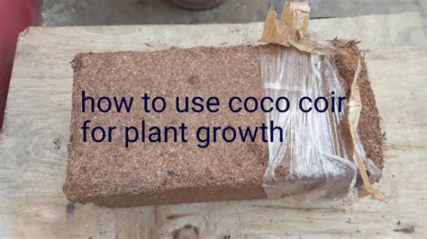How To Use Coco Coir For All Plants Growth Youtube