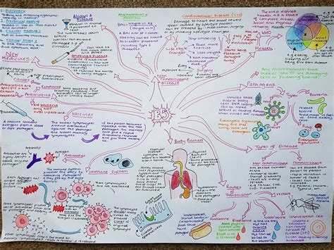 Edexcel Combined Science Biologypaper 1 Mindmaps Teaching Resources