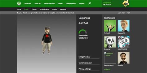 Xbox Gamertag Profile Best Player Profile Xbox Live