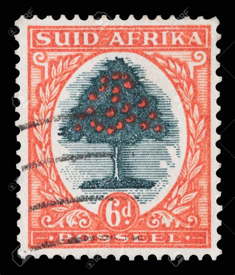 Vintage South African Postage Stamp