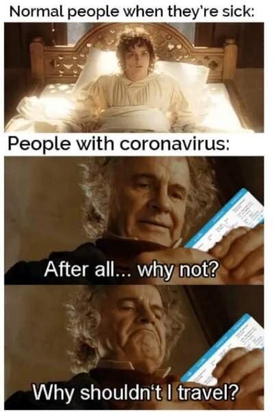 Compilation Of Memes From The Covid 19 Pandemic — Average Socialite