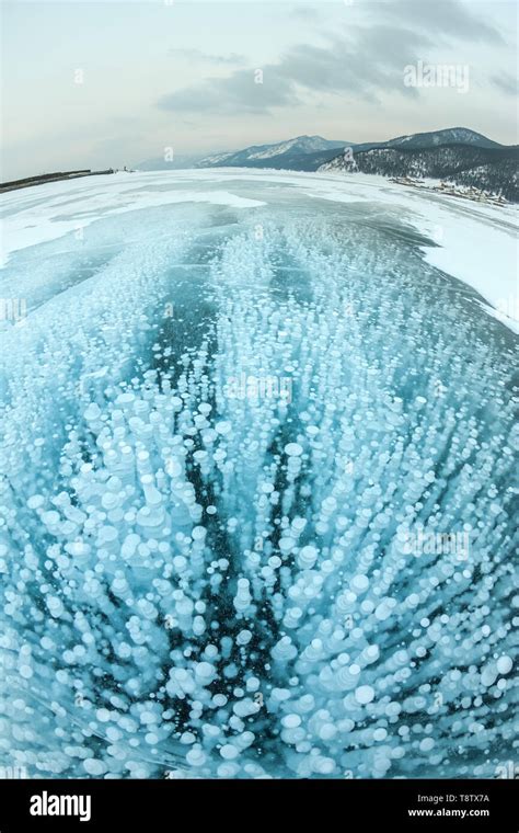 Bubbles Of Methane Gas Frozen Into Clear Ice Lake Baikal Russia Stock