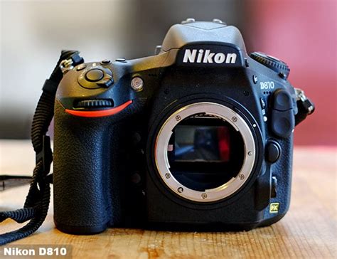 Nikon D810 Vs D750 Vs D610 Trusted Reviews