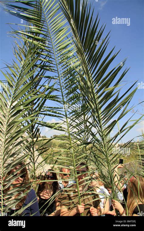 Palm Sunday Jerusalem Hi Res Stock Photography And Images Alamy
