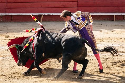 Judge Extends Mexico City’s Ban On Bullfighting Indefinitely