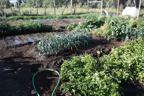 Colorado Mountain Gardener