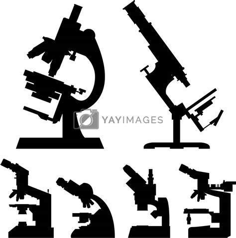 Laboratory Microscopes Vector Silhouettes By Lhfgraphics Vectors