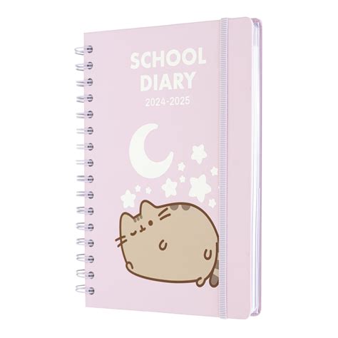 Buy Grupo Erikpusheen Diary Back To School Months A Academic Diary