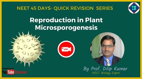 Neet Biology 2020 45 Days Quick Revision Series Microsporogenesis