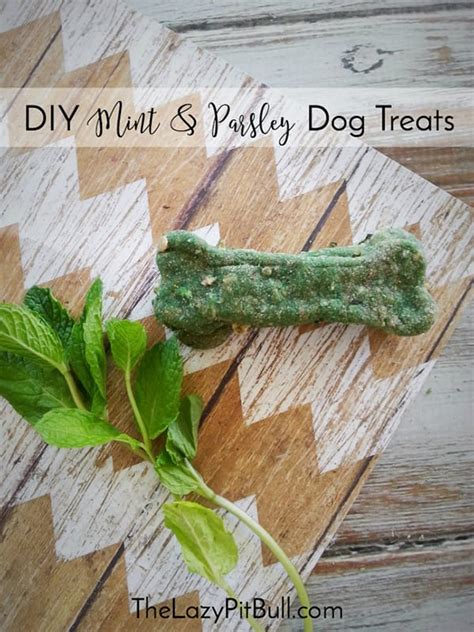 9 Minty Fresh Dog Treat Recipes You Need For Your Dogs Breath