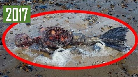 Dead Mermaid Body Found On Beach Mermaids Caught On Tape New 2017