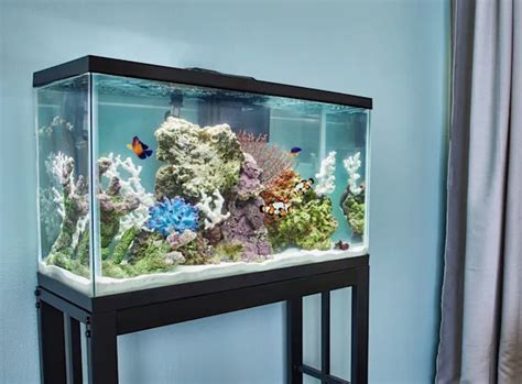 Aqueon Standard Open Glass Glass Aquarium Tank 29 Gallon Ph