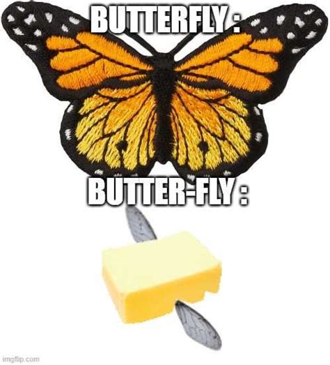 Butterfly Meme Phenomenon Butterfly Meme For Famous With Butterfly