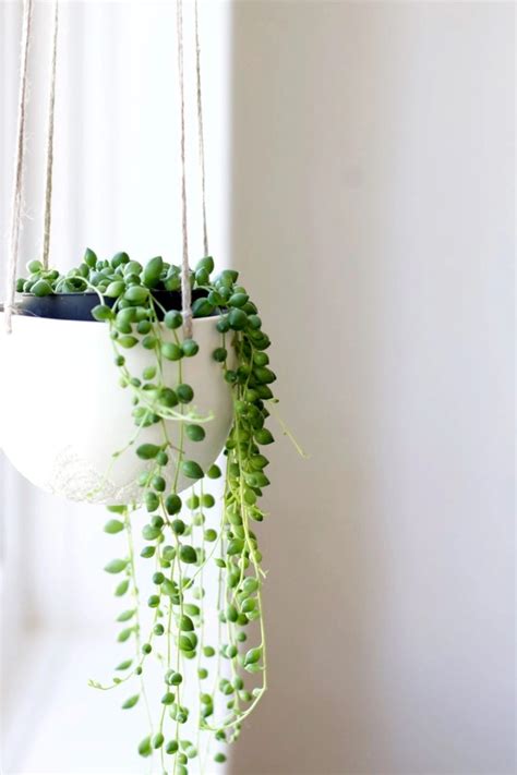 41 Indoor Hanging Planters You Can Make Yourself Godiygocom