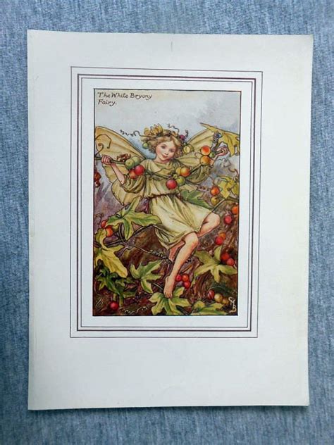 White Bryony Flower Fairy Vintage Print C1927 Cicely Mary Etsy