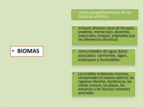 Cuadros Comparativos De Biomas Cuadro Comparativo Bio Vrogue Co