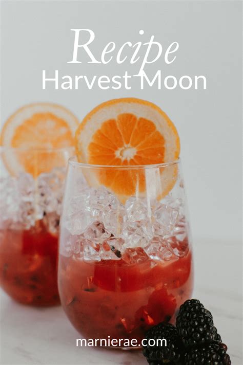Recipe Harvest Moon Marnie Rae Mocktail Recipe Easy Mocktail Recipes Best Mocktail Recipe