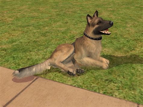 Mod The Sims In Memory Of Syra My Own German Shepherd