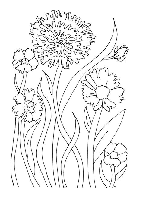 Https://wstravely.com/coloring Page/flower Coloring Pages Printable Free