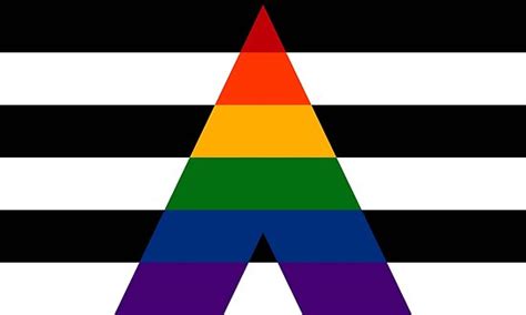 Symbolism and meaning of the design. Solid LGBT Ally Pride Flag Posters by LiveLoudGraphic ...
