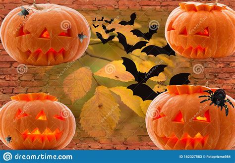 Set Of Four Pumpkins With Glowing Eyes For A Festive Day