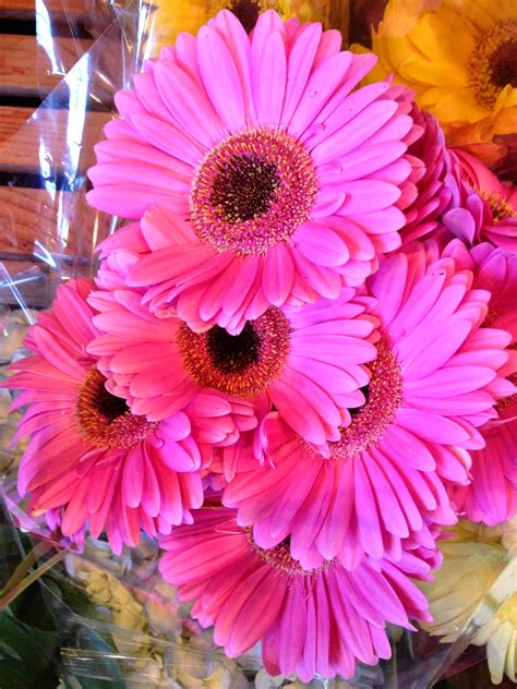 Maybe you would like to learn more about one of these? 31 Days of pink-Day 12-Breast Cancer Awareness-lots of ...