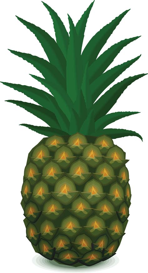 Pineapple Png Images Transparent Free Download Pngmart