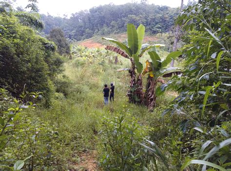 Ibu pejabat bahagian pengurusan penguatkuasaan. Tanah Dusun Hulu Langat - Ejen Hartanah | Tanah Untuk ...