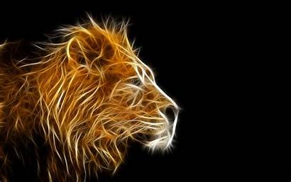 Lion 3d Animal Wallpapers Pc Desktop Wallpapercanyon