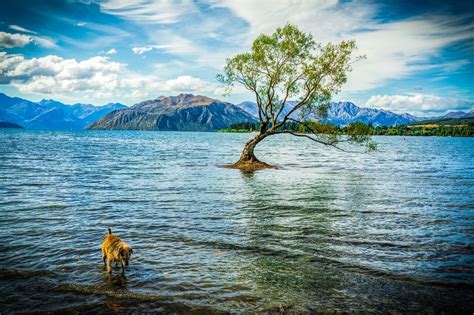 17 Best Places To Visit On The South Island New Zealand