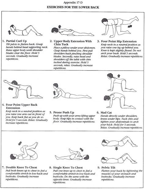 Pin On Physical Therapy Exercises