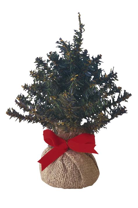 How to Uproot a Tree Without Killing It