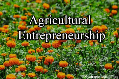 Agri-Entrepreneurship Empowering Innovators In Agriculture