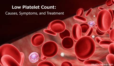 Low Platelet Count Causes Symptoms And Treatment How To Diagnose