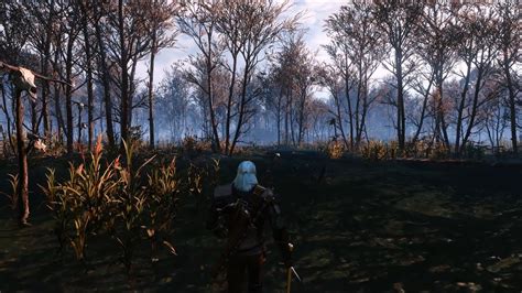 Witcher 3 Extreme Modded Graphic Gameplay Enchanted Light Reshade