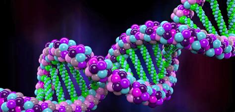 Omniprex News El primer atlas de la regulación de los genes en el cuerpo humano