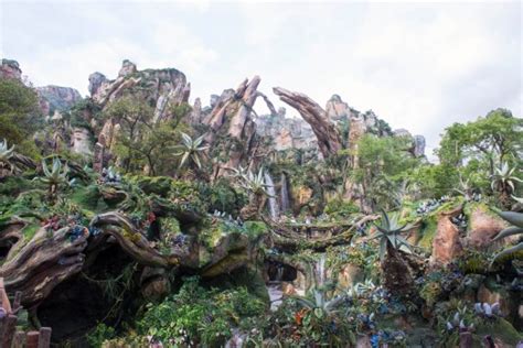 Disney Opens Pandora The World Of Avatar At Walt Disney World
