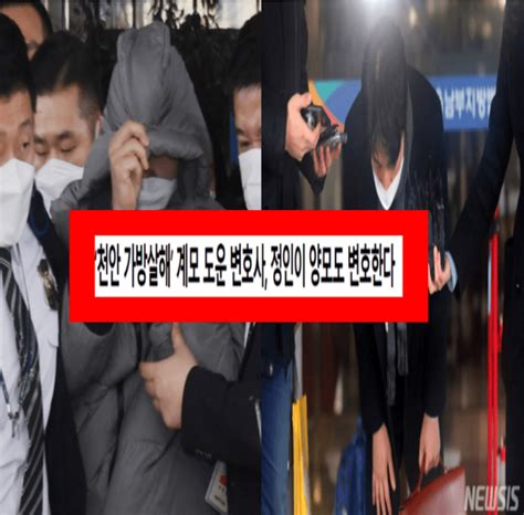 속보 정인이 양모 측 머리 찢게 한 것 맞지만 학대 의도 아냐. 정인이 재판 증언 양모의 너무 충격적인 발언(+결과 양부모 ...