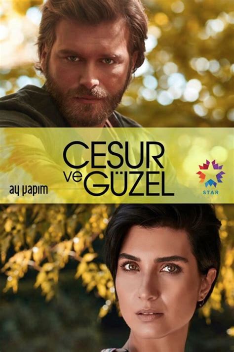 55 Mejores Novelas Turcas En Español Y Subtituladas 2020 Tv Series