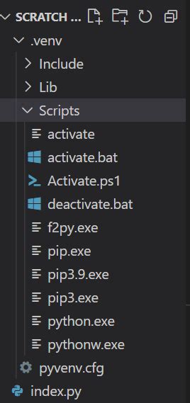 Problem In Vs Code To Target Virtual Environment Venv In My