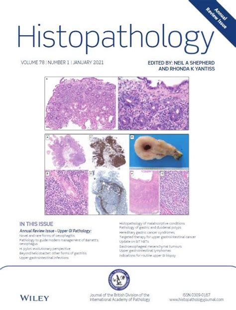 Histopathology Journal Bdiap