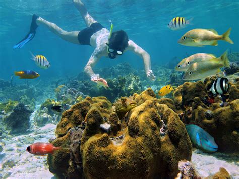 Group Adventure Sightseeing And Aquatic Tours In Puerto Rico