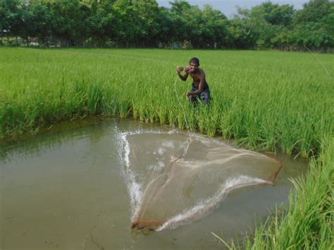 Fields suggestions why doesn't the permanent fields integrator work? Water conservation through mini pond excavation for fish ...