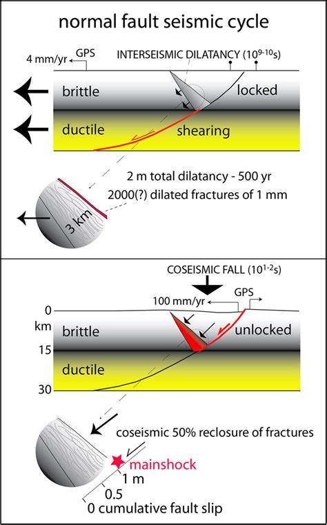 Geological Model Of The Seismic Cycle During The Interseismic Period